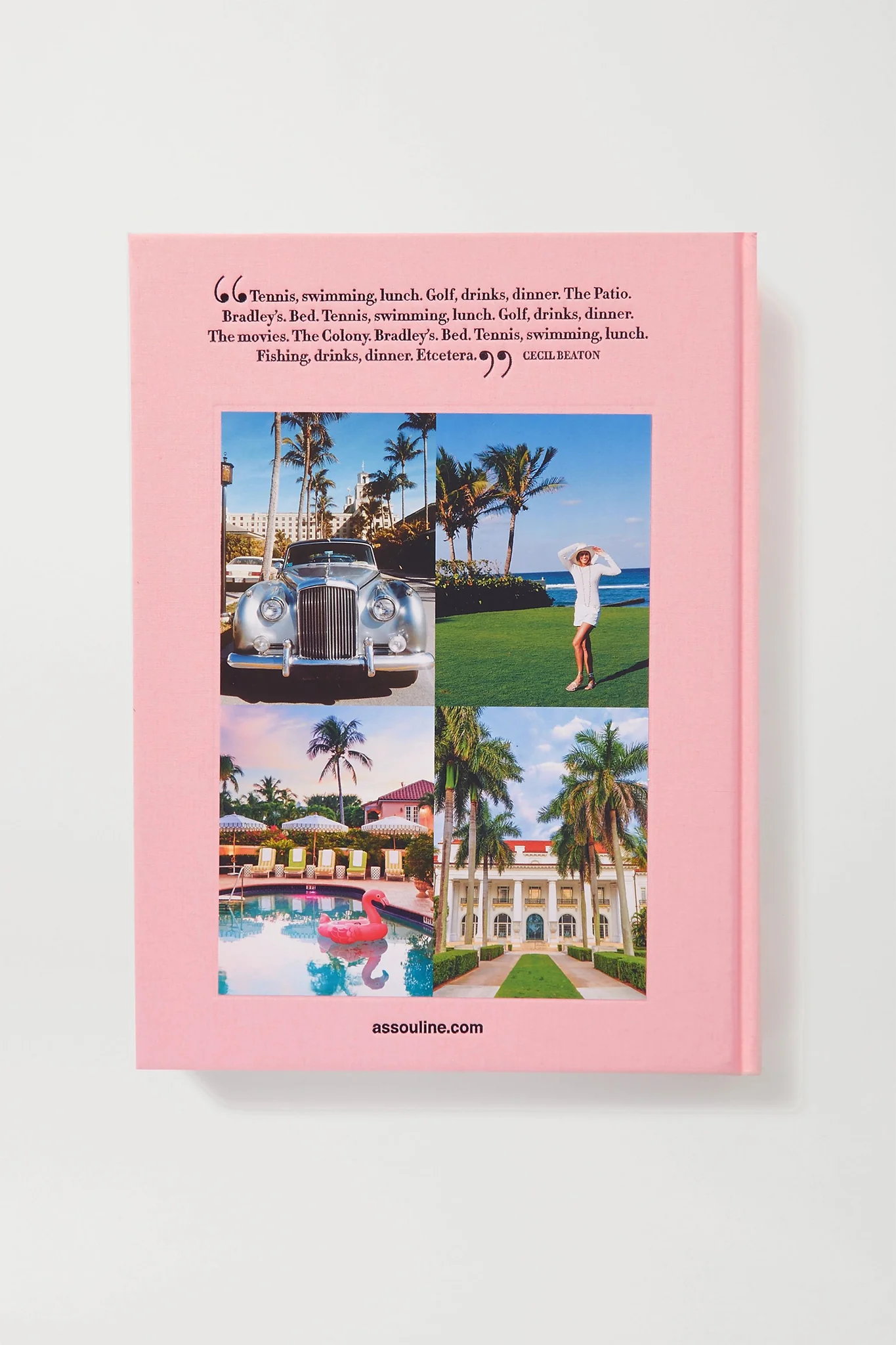 Palm Beach - Image 4